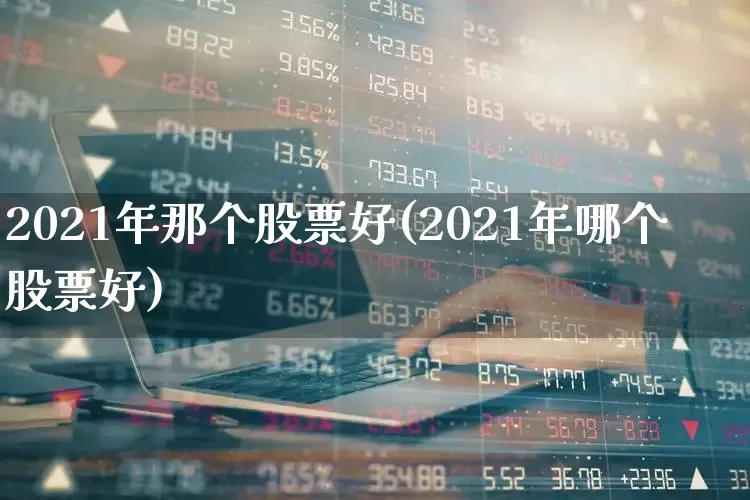 2021年那个股票好(2021年哪个股票好)_https://www.gfdzclz.com_上交所_第1张