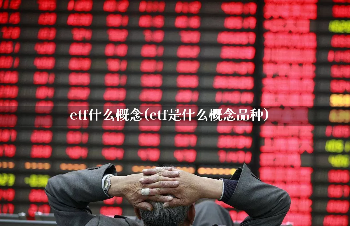 etf什么概念(etf是什么概念品种)_https://www.gfdzclz.com_创业板_第1张