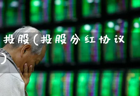 投股(投股分红协议)_https://www.gfdzclz.com_科创板_第1张