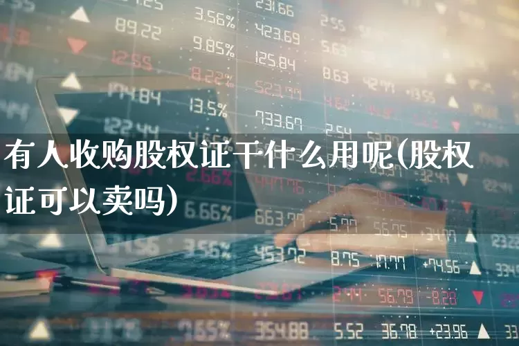 有人收购股权证干什么用呢(股权证可以卖吗)_https://www.gfdzclz.com_北交所_第1张