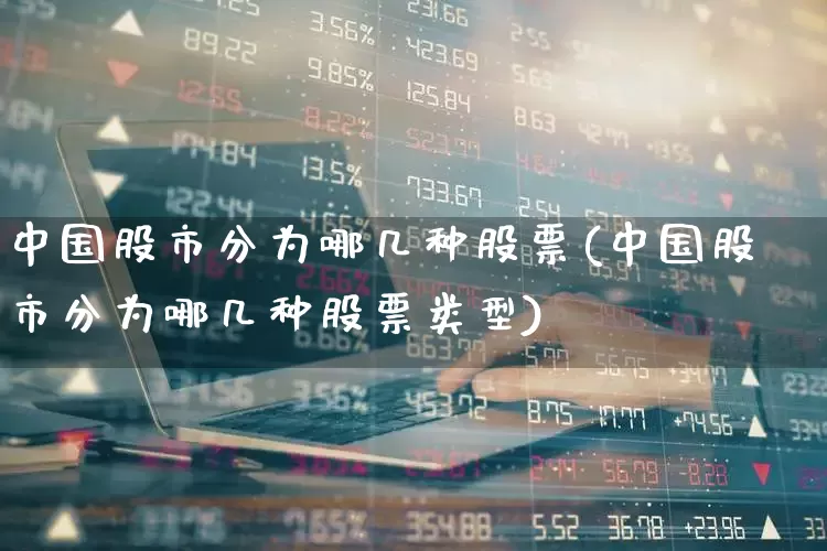 中国股市分为哪几种股票(中国股市分为哪几种股票类型)_https://www.gfdzclz.com_科创板_第1张