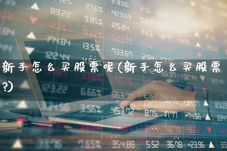 新手怎么买股票呢(新手怎么买股票?)_https://www.gfdzclz.com_上交所_第1张