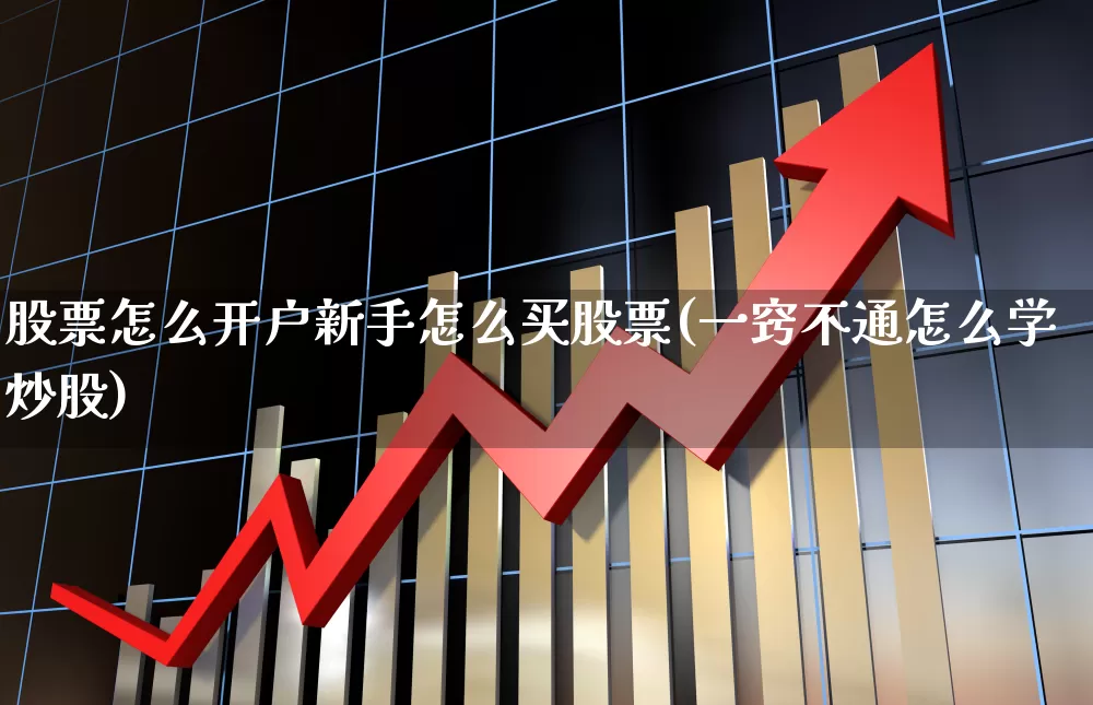 股票怎么开户新手怎么买股票(一窍不通怎么学炒股)_https://www.gfdzclz.com_北交所_第1张