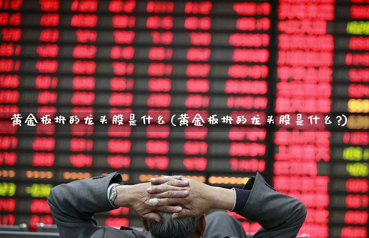 黄金板块的龙头股是什么(黄金板块的龙头股是什么?)_https://www.gfdzclz.com_上交所_第1张