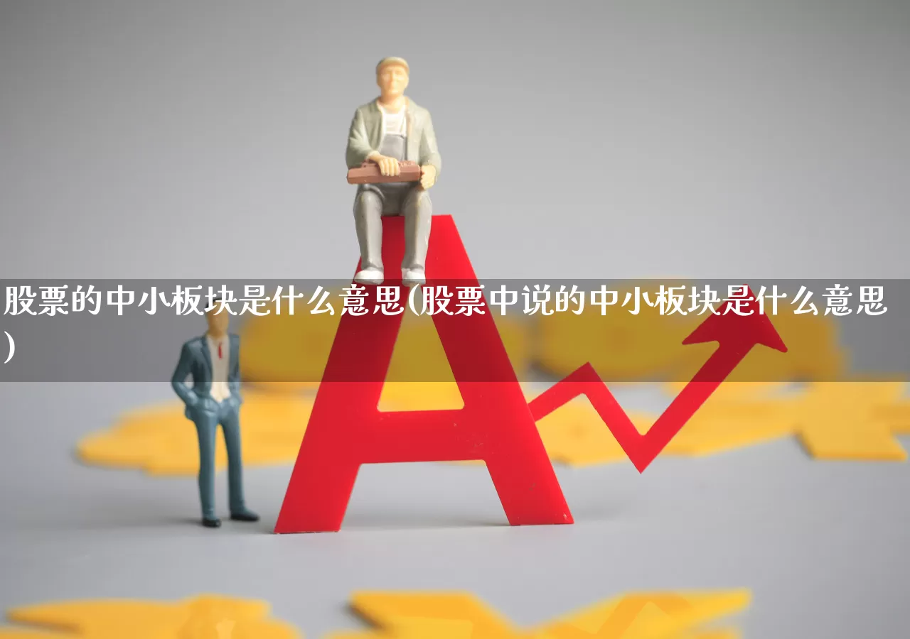 股票的中小板块是什么意思(股票中说的中小板块是什么意思)_https://www.gfdzclz.com_上交所_第1张