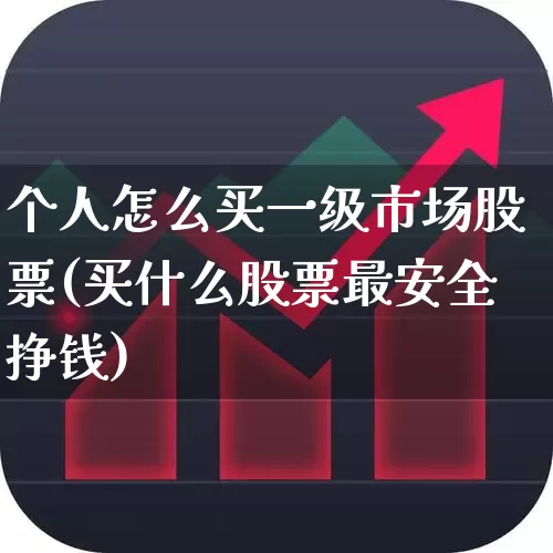 个人怎么买一级市场股票(买什么股票最安全挣钱)_https://www.gfdzclz.com_深交所_第1张