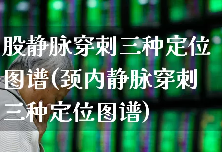 股静脉穿刺三种定位图谱(颈内静脉穿刺三种定位图谱)_https://www.gfdzclz.com_上交所_第1张