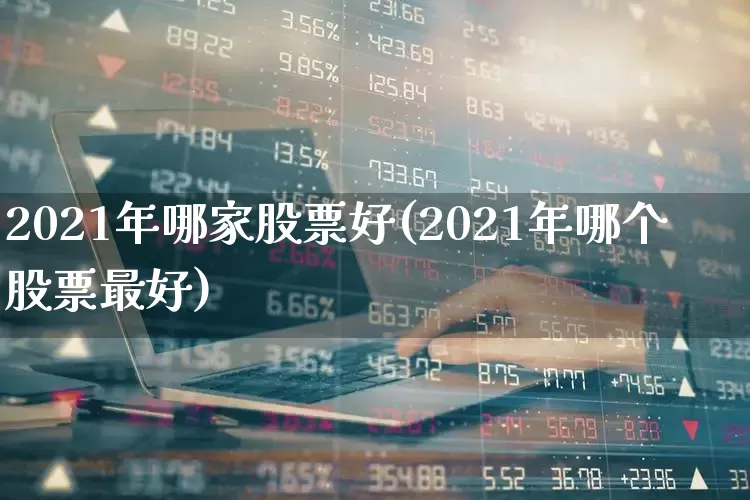 2021年哪家股票好(2021年哪个股票最好)_https://www.gfdzclz.com_科创板_第1张