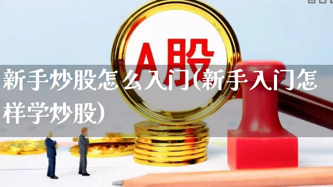新手炒股怎么入门(新手入门怎样学炒股)_https://www.gfdzclz.com_创业板_第1张