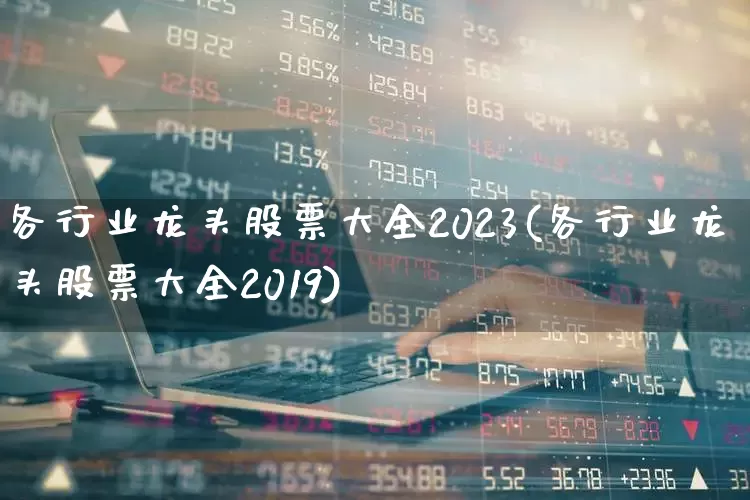 各行业龙头股票大全2023(各行业龙头股票大全2019)_https://www.gfdzclz.com_科创板_第1张