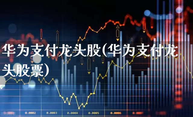 华为支付龙头股(华为支付龙头股票)_https://www.gfdzclz.com_科创板_第1张