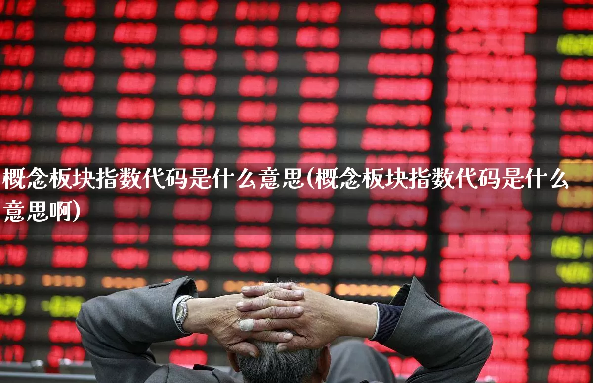 概念板块指数代码是什么意思(概念板块指数代码是什么意思啊)_https://www.gfdzclz.com_创业板_第1张