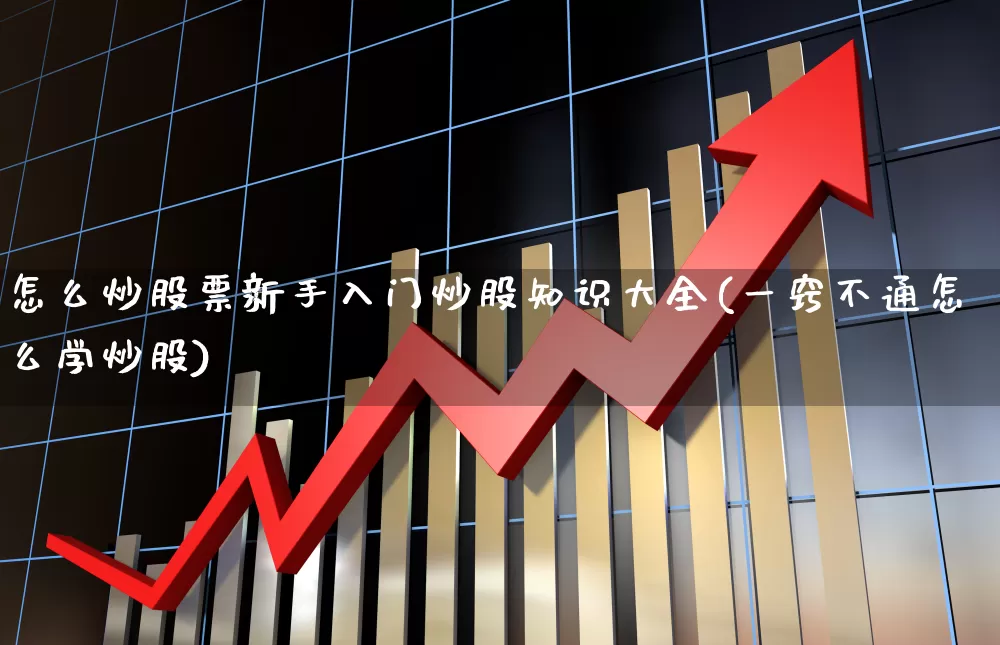 怎么炒股票新手入门炒股知识大全(一窍不通怎么学炒股)_https://www.gfdzclz.com_科创板_第1张