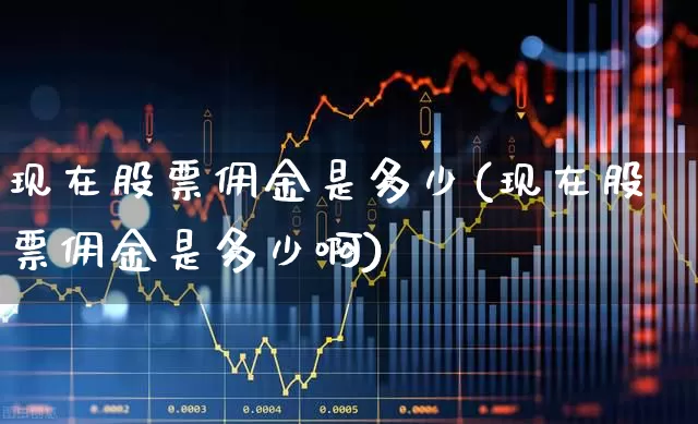 现在股票佣金是多少(现在股票佣金是多少啊)_https://www.gfdzclz.com_北交所_第1张