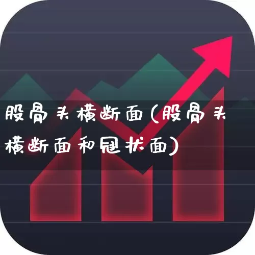 股骨头横断面(股骨头横断面和冠状面)_https://www.gfdzclz.com_科创板_第1张