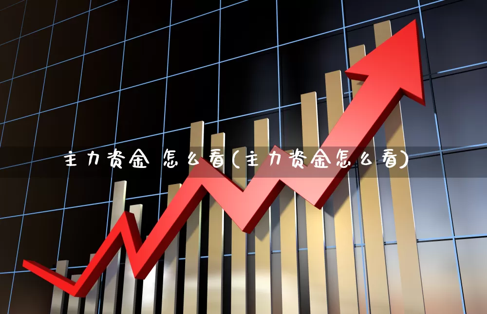 主力资金 怎么看(主力资金怎么看)_https://www.gfdzclz.com_北交所_第1张