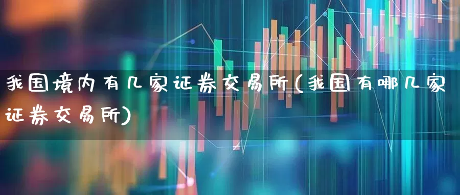 我国境内有几家证券交易所(我国有哪几家证券交易所)_https://www.gfdzclz.com_深交所_第1张