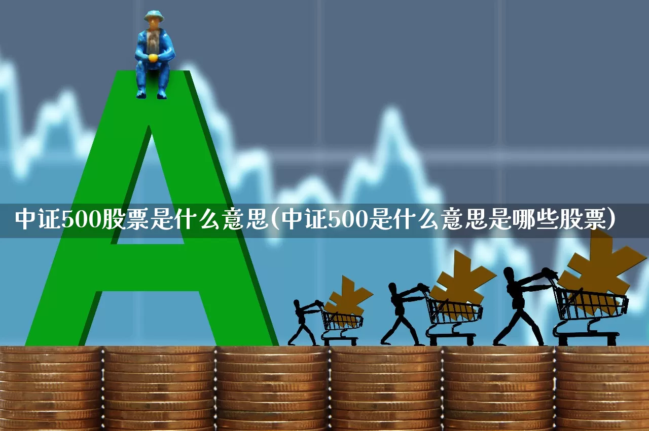 中证500股票是什么意思(中证500是什么意思是哪些股票)_https://www.gfdzclz.com_北交所_第1张