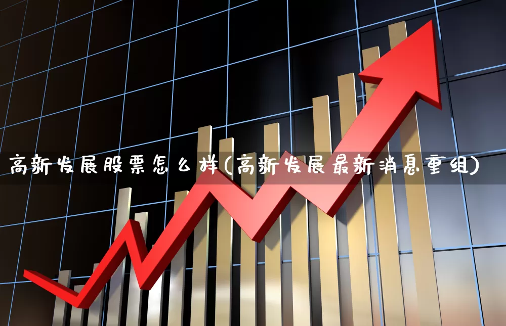 高新发展股票怎么样(高新发展最新消息重组)_https://www.gfdzclz.com_上交所_第1张