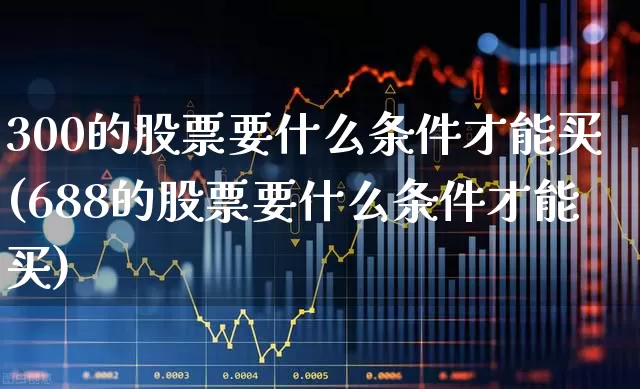 300的股票要什么条件才能买(688的股票要什么条件才能买)_https://www.gfdzclz.com_深交所_第1张