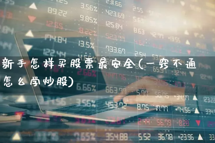 新手怎样买股票最安全(一窍不通怎么学炒股)_https://www.gfdzclz.com_北交所_第1张
