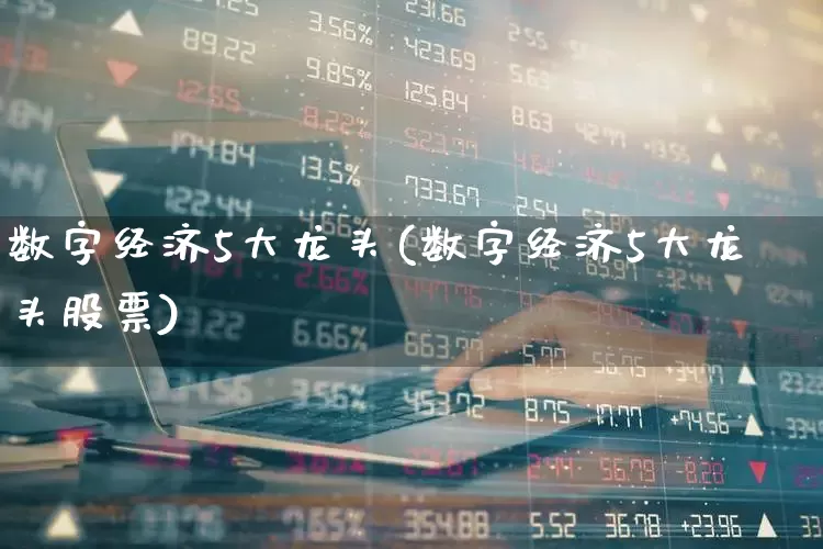 数字经济5大龙头(数字经济5大龙头股票)_https://www.gfdzclz.com_北交所_第1张