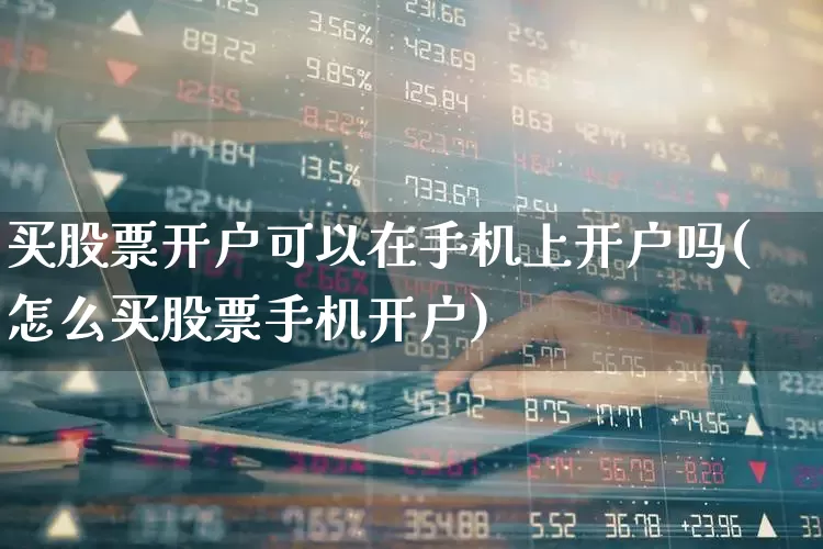 买股票开户可以在手机上开户吗(怎么买股票手机开户)_https://www.gfdzclz.com_上交所_第1张