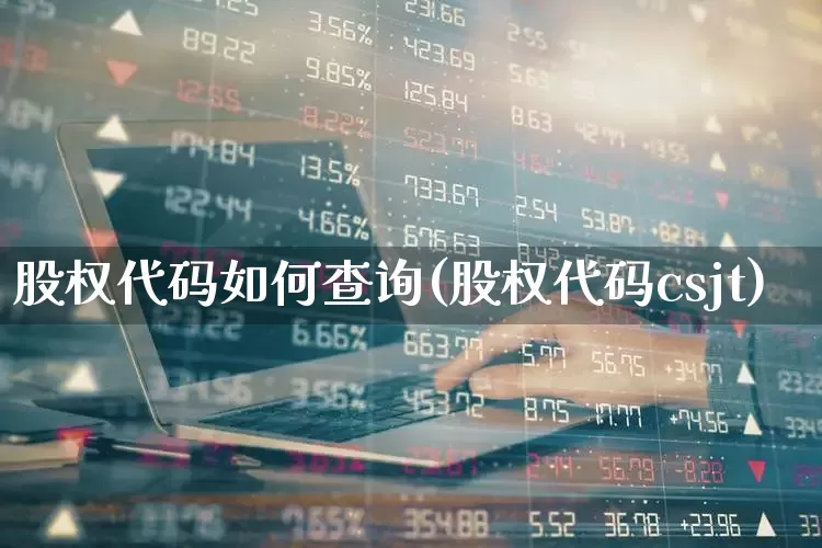 股权代码如何查询(股权代码csjt)_https://www.gfdzclz.com_北交所_第1张