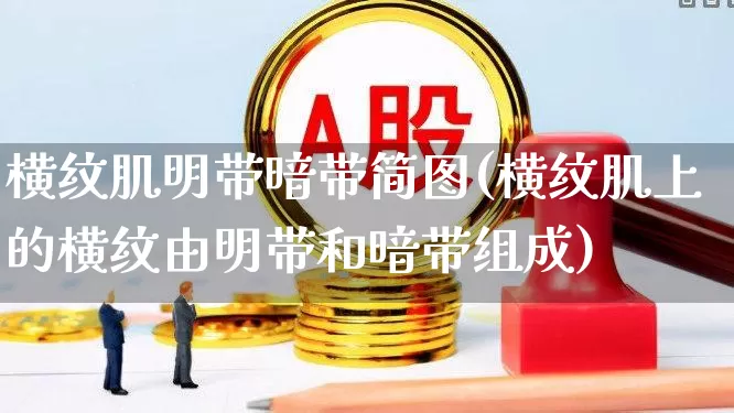 横纹肌明带暗带简图(横纹肌上的横纹由明带和暗带组成)_https://www.gfdzclz.com_科创板_第1张