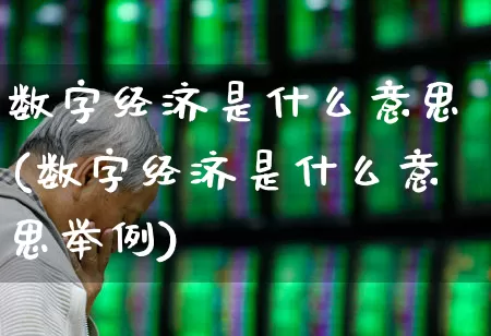 数字经济是什么意思(数字经济是什么意思举例)_https://www.gfdzclz.com_上交所_第1张