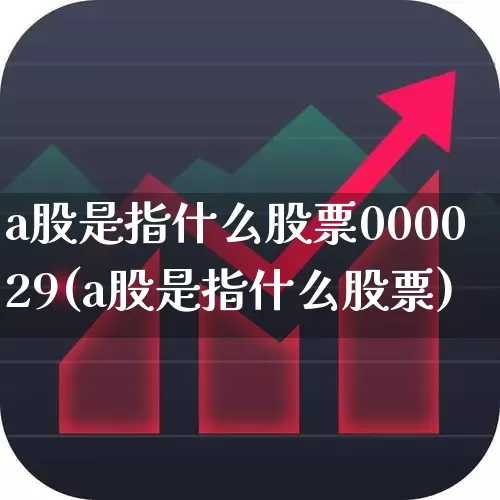 a股是指什么股票000029(a股是指什么股票)_https://www.gfdzclz.com_上交所_第1张