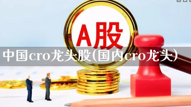 中国cro龙头股(国内cro龙头)_https://www.gfdzclz.com_科创板_第1张