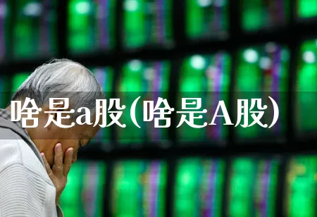 啥是a股(啥是A股)_https://www.gfdzclz.com_科创板_第1张