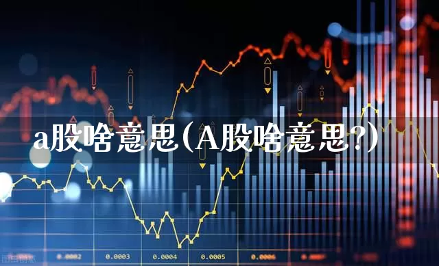 a股啥意思(A股啥意思?)_https://www.gfdzclz.com_深交所_第1张