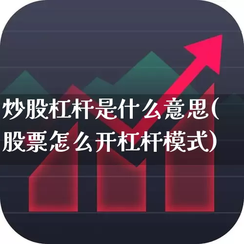 炒股杠杆是什么意思(股票怎么开杠杆模式)_https://www.gfdzclz.com_上交所_第1张