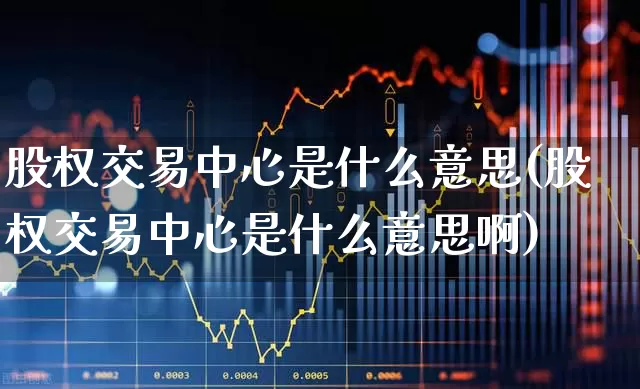 股权交易中心是什么意思(股权交易中心是什么意思啊)_https://www.gfdzclz.com_北交所_第1张