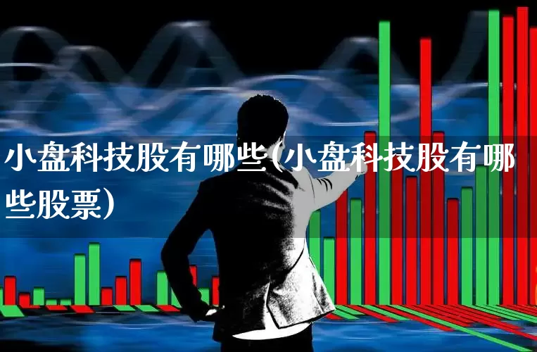 小盘科技股有哪些(小盘科技股有哪些股票)_https://www.gfdzclz.com_科创板_第1张