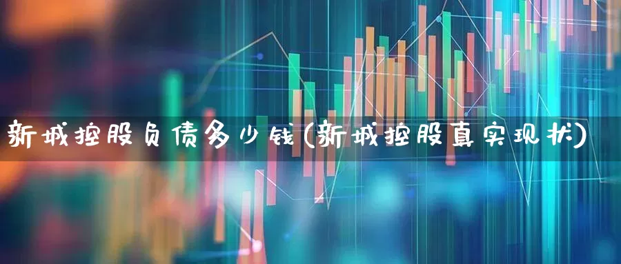 新城控股负债多少钱(新城控股真实现状)_https://www.gfdzclz.com_北交所_第1张