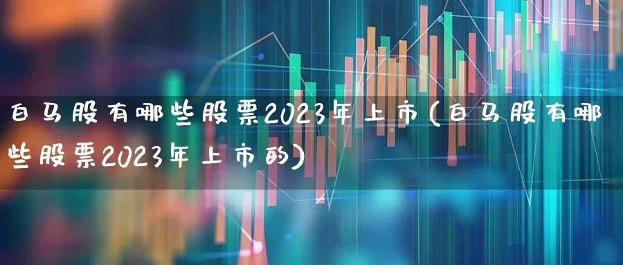 白马股有哪些股票2023年上市(白马股有哪些股票2023年上市的)_https://www.gfdzclz.com_深交所_第1张