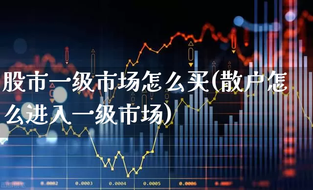 股市一级市场怎么买(散户怎么进入一级市场)_https://www.gfdzclz.com_创业板_第1张