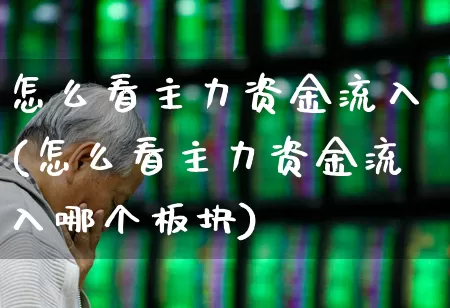怎么看主力资金流入(怎么看主力资金流入哪个板块)_https://www.gfdzclz.com_上交所_第1张