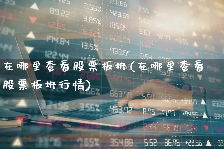 在哪里查看股票板块(在哪里查看股票板块行情)_https://www.gfdzclz.com_北交所_第1张