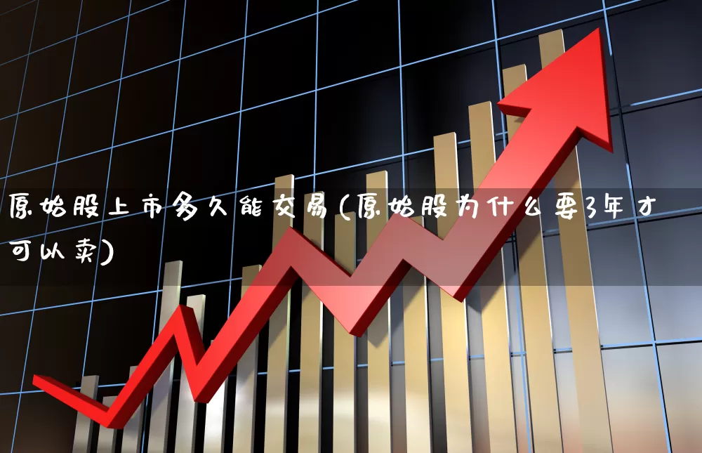 原始股上市多久能交易(原始股为什么要3年才可以卖)_https://www.gfdzclz.com_上交所_第1张