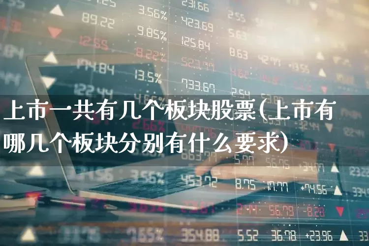 上市一共有几个板块股票(上市有哪几个板块分别有什么要求)_https://www.gfdzclz.com_科创板_第1张