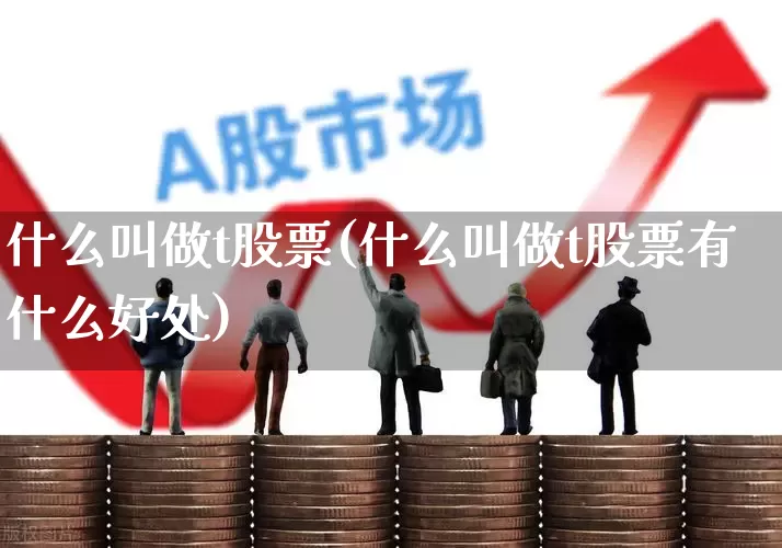 什么叫做t股票(什么叫做t股票有什么好处)_https://www.gfdzclz.com_深交所_第1张
