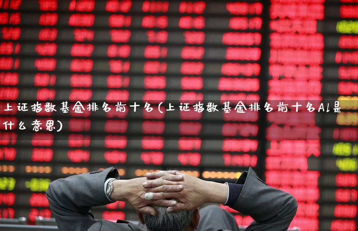 上证指数基金排名前十名(上证指数基金排名前十名Al是什么意思)_https://www.gfdzclz.com_深交所_第1张