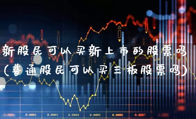 新股民可以买新上市的股票吗(普通股民可以买三板股票吗)_https://www.gfdzclz.com_深交所_第1张
