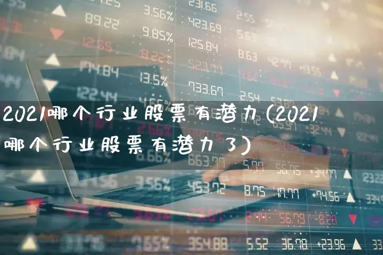 2021哪个行业股票有潜力(2021哪个行业股票有潜力了)_https://www.gfdzclz.com_科创板_第1张
