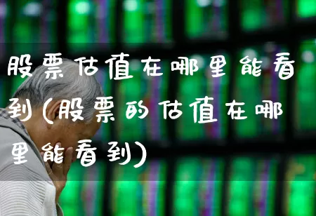 股票估值在哪里能看到(股票的估值在哪里能看到)_https://www.gfdzclz.com_深交所_第1张