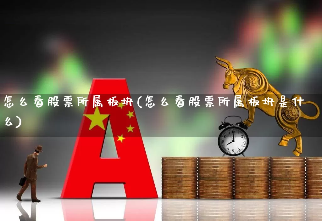怎么看股票所属板块(怎么看股票所属板块是什么)_https://www.gfdzclz.com_上交所_第1张